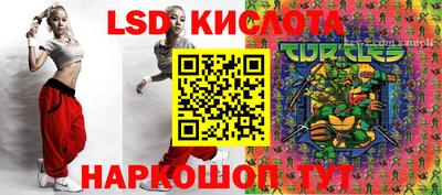 spice Братск