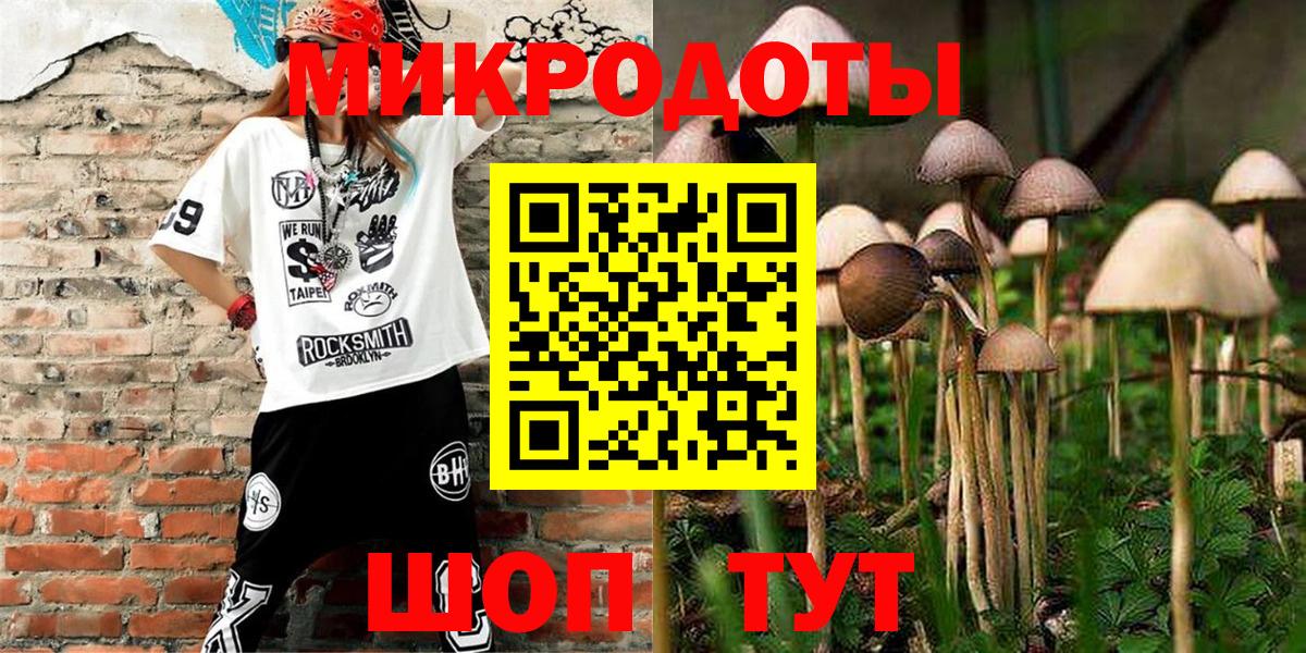 Галлюциногенные грибы Psilocybine cubensis  купить наркотики сайты  Бийск 