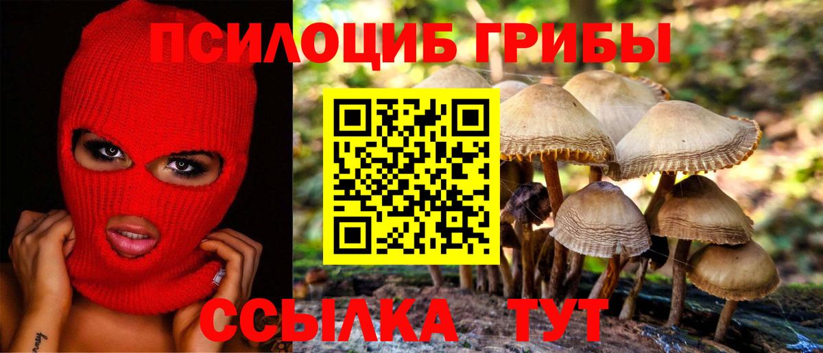 Псилоцибиновые грибы прущие грибы Бийск